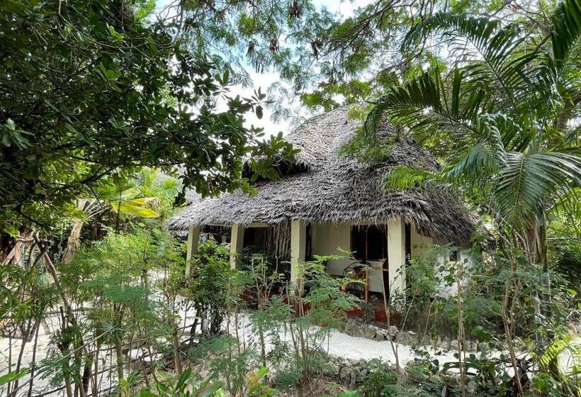 بانگلوی استاندارد, Bellevue Zanzibar