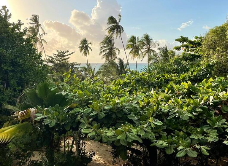 سوییت با چشم‌انداز دریا, Bellevue Zanzibar