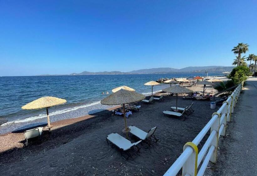 סטודיו סטנדרטי נוף לים, Apollon