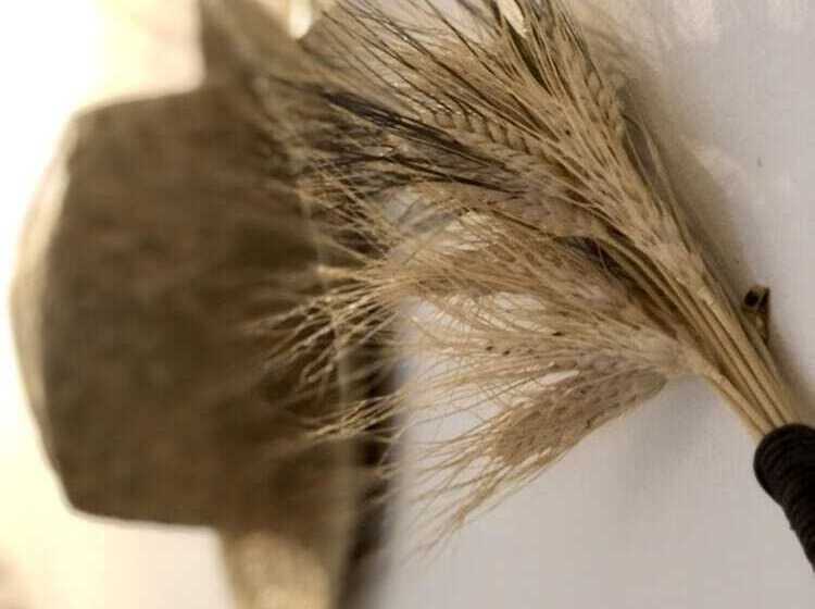 スタンダードルーム, L'autre Maison