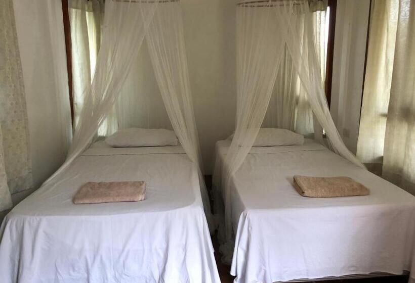 Номер Стандарт, Diamond Beach Resort