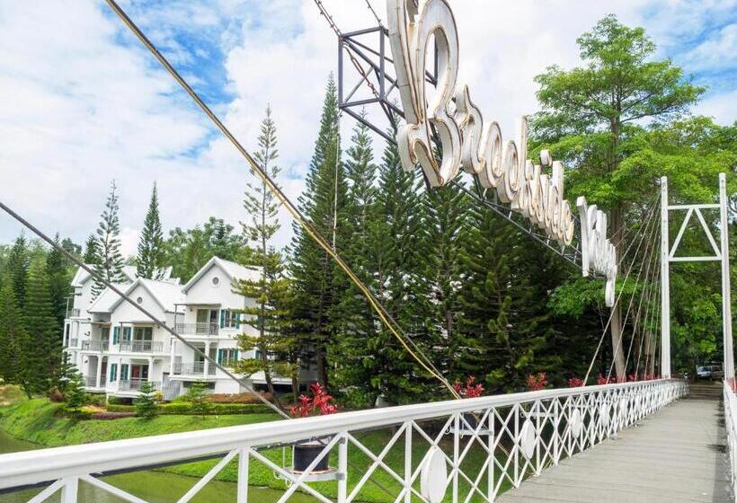 패밀리 룸, Brookside Valley Resort