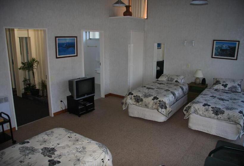 침실 1개 아파트, Kuirau Park Motor Lodge