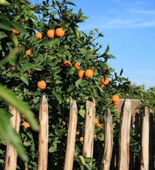 Superior Suite, Casa Taos