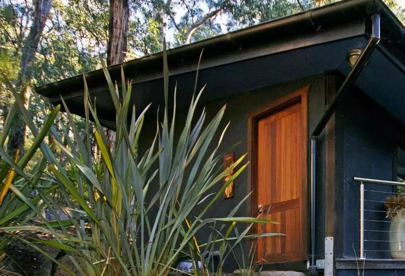 Camera Standard, Qdos