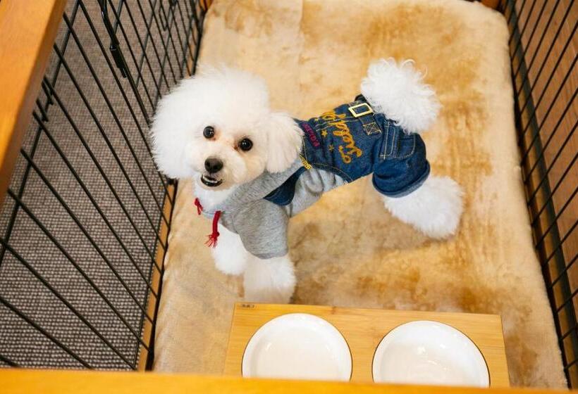 غرفة ديلوكس, Morinokaze Tateyama