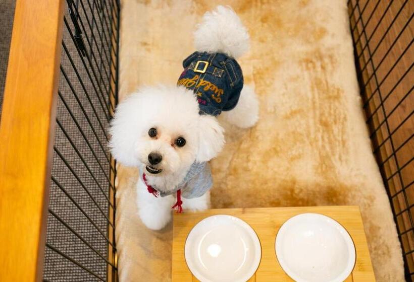 غرفة ديلوكس, Morinokaze Tateyama