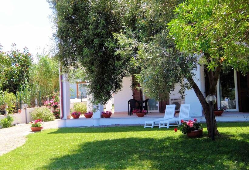 Номер Стандарт Индивидуальный, La Tartaruga Bianca