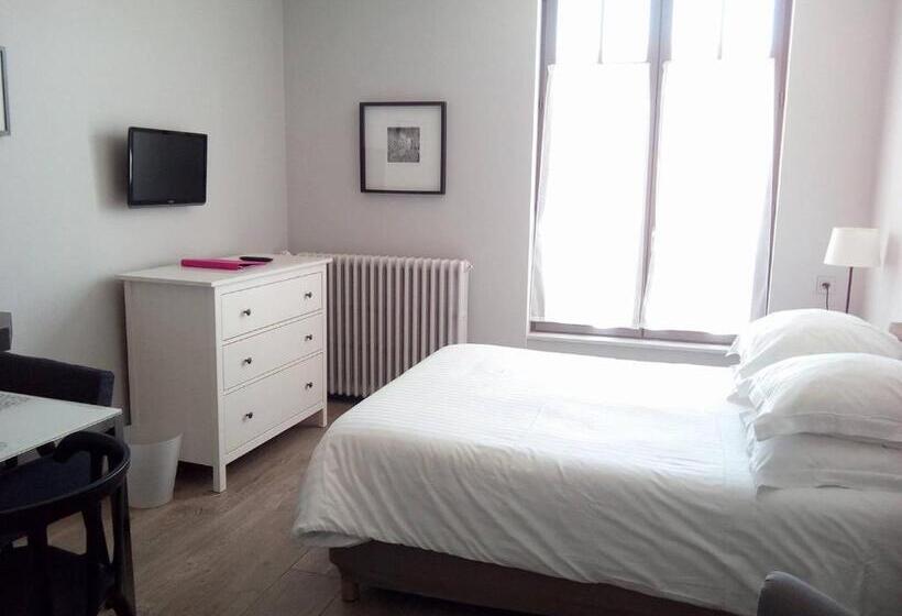 إستوديو قياسى سرير مزدوج, Vichy Résidencia