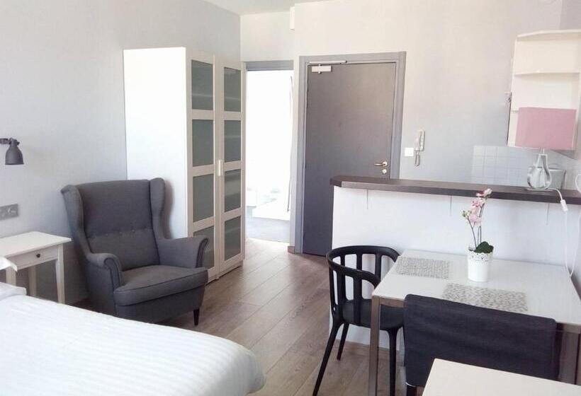 إستوديو قياسى سرير مزدوج, Vichy Résidencia