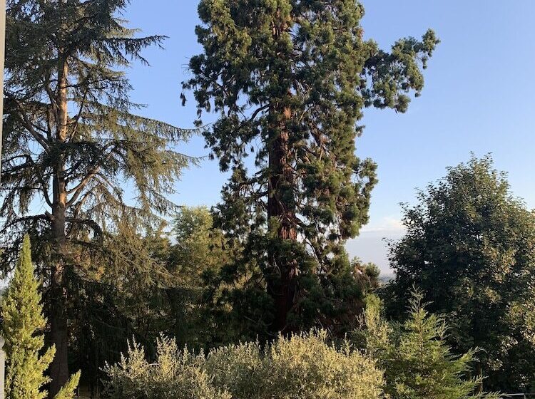 اتاق لوکس, Le Château Des Forges