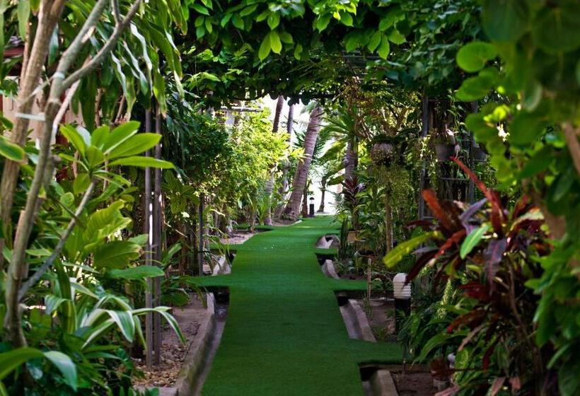 חדר סופריור נוף לגינה, Neptune's Villa