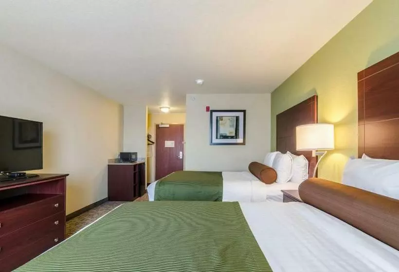 デラックスルーム, Cobblestone Inn & Suites  Corry