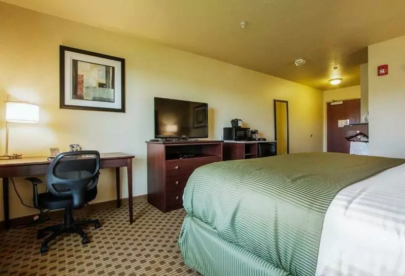 身障者適用キングサイズベッドルーム, Cobblestone Inn & Suites  Corry