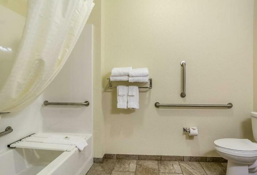 Mozgáskorlátozott Standard Szoba King Size Bed, Cobblestone Inn & Suites  Corry