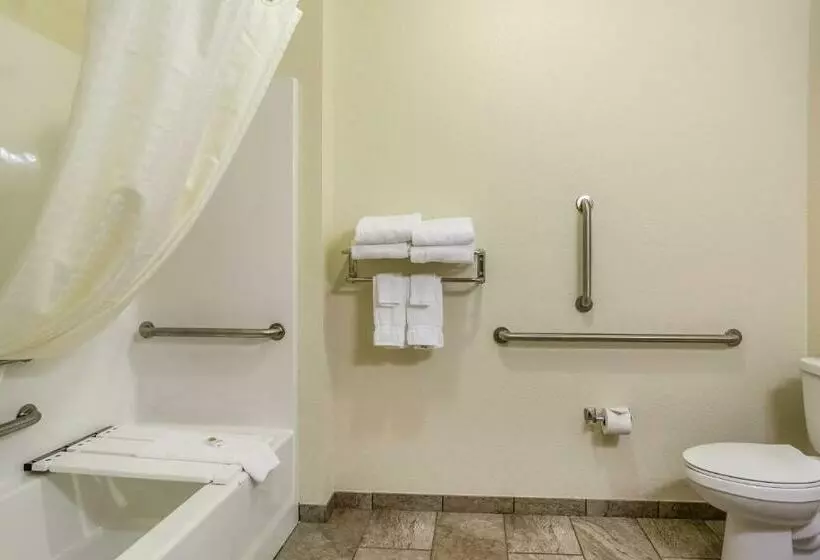 身障者適用キングサイズベッドルーム, Cobblestone Inn & Suites  Corry