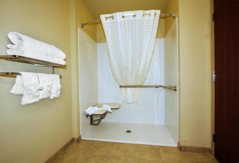 Mozgáskorlátozott Standard Szoba King Size Bed, Cobblestone Inn & Suites  Corry