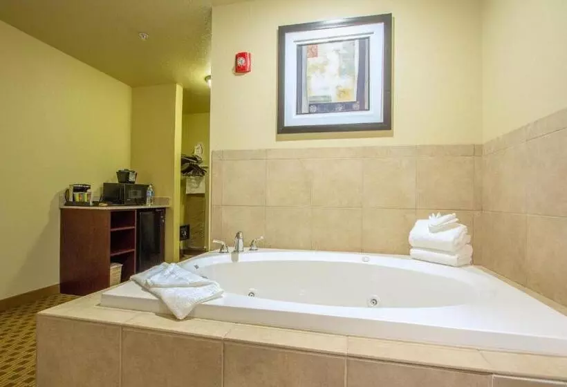 キングサイズベッドのスイートルーム, Cobblestone Inn & Suites  Corry