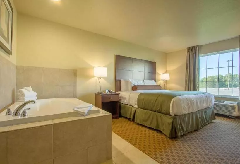 キングサイズベッドのスイートルーム, Cobblestone Inn & Suites  Corry