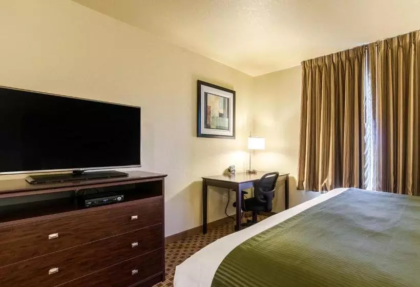 キングサイズベッドのスイートルーム, Cobblestone Inn & Suites  Corry
