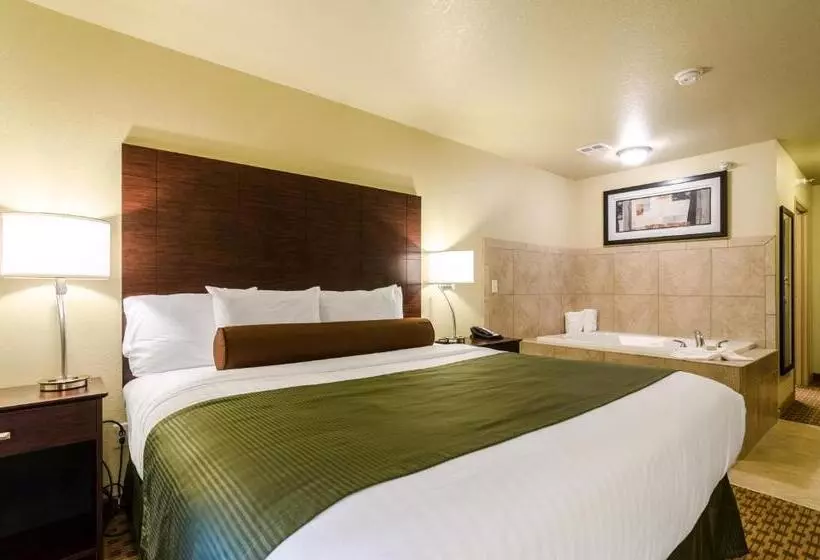 キングサイズベッドのスイートルーム, Cobblestone Inn & Suites  Corry