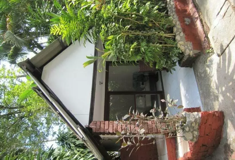 スタンダードバンガロー, Pine Bungalow