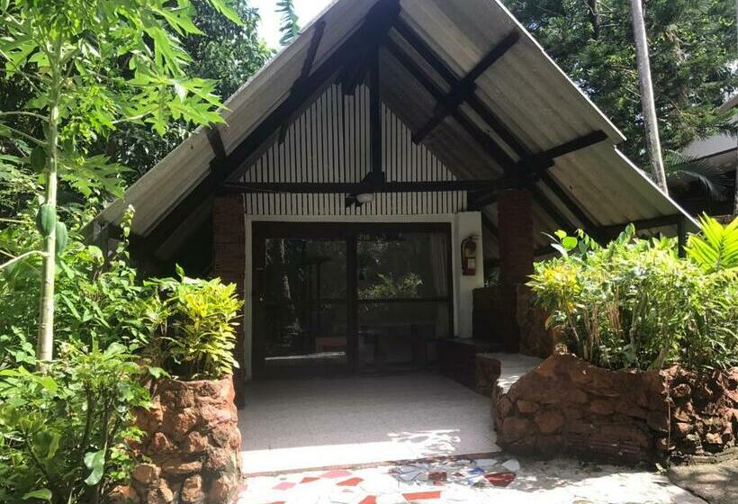 Бунгало Стандарт, Pine Bungalow