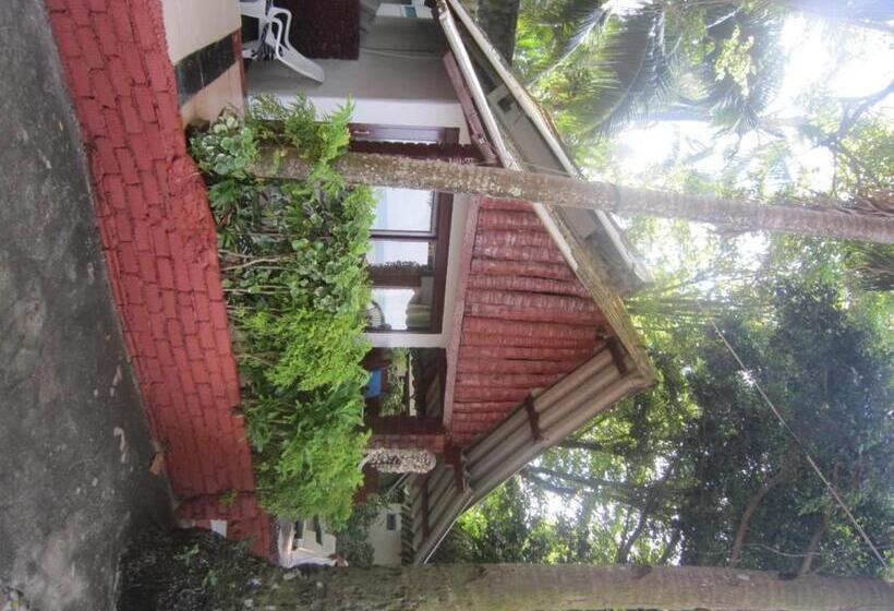 Бунгало Стандарт, Pine Bungalow