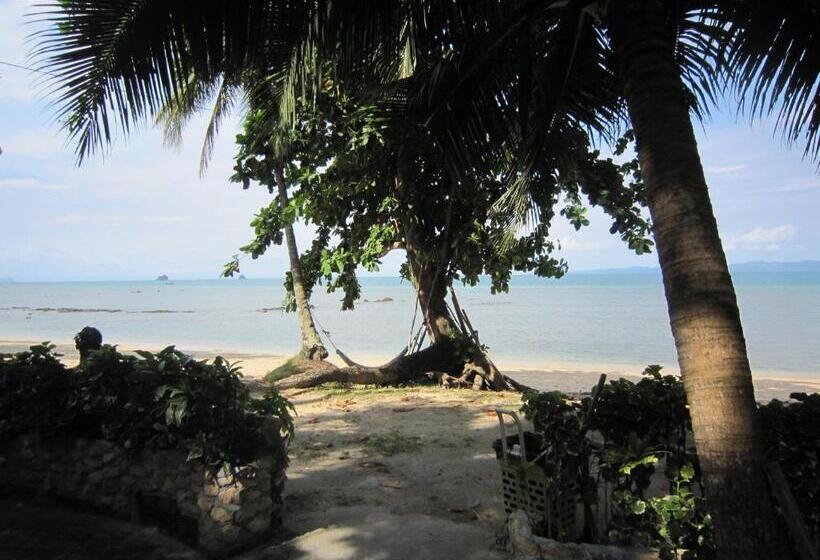 Бунгало Стандарт, Pine Bungalow