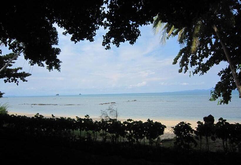 Бунгало Стандарт, Pine Bungalow