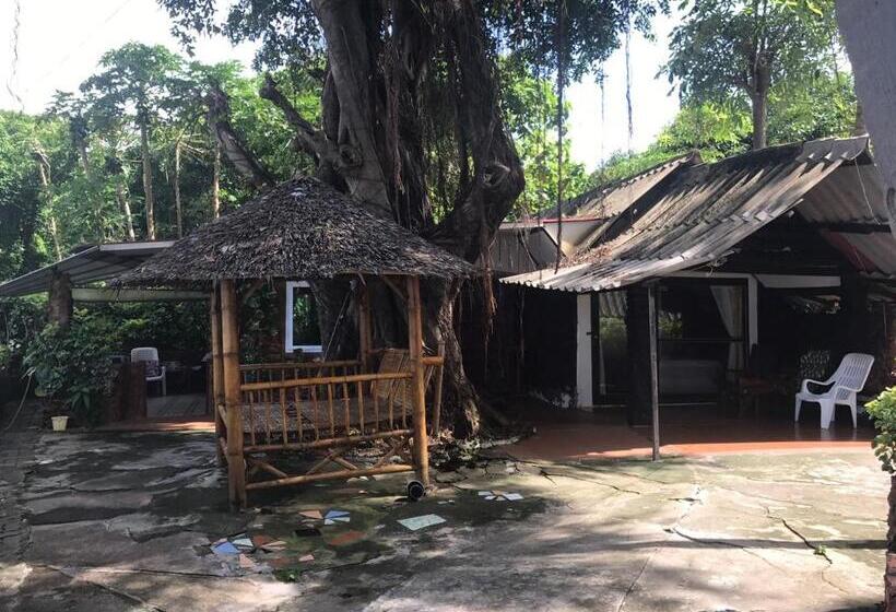 Бунгало Стандарт, Pine Bungalow