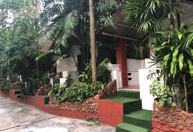 Бунгало Стандарт, Pine Bungalow