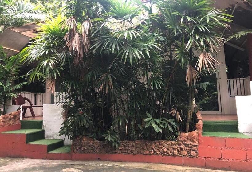 Бунгало Стандарт, Pine Bungalow