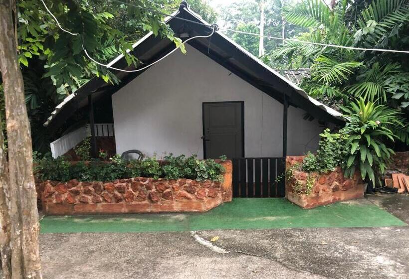 Бунгало Стандарт, Pine Bungalow