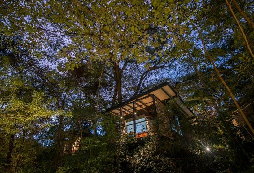 בקתה סטנדרטית, Rio Perdido Hotel & Thermal River