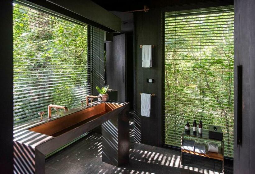 בקתה סטנדרטית, Rio Perdido Hotel & Thermal River