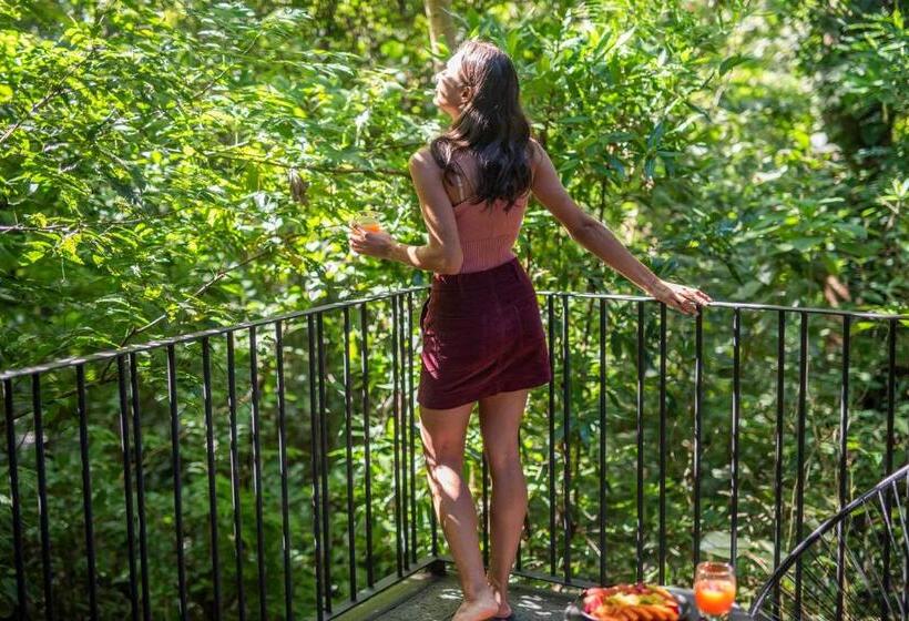 בקתה סטנדרטית, Rio Perdido Hotel & Thermal River