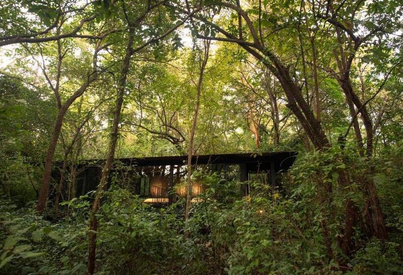 בקתה סטנדרטית, Rio Perdido Hotel & Thermal River