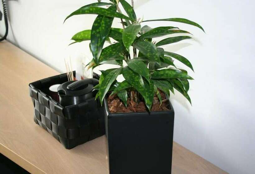 スタンダードルーム, Skanderborg Park