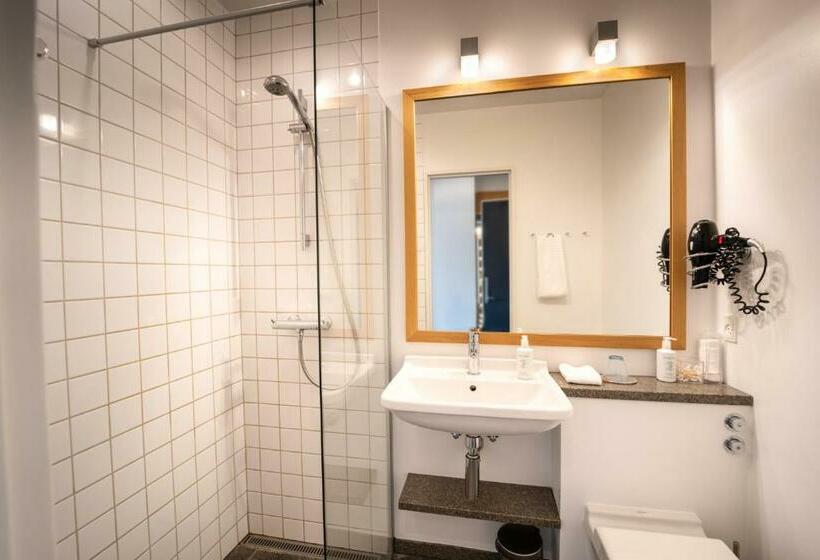 スタンダードシングルルーム, Skanderborg Park