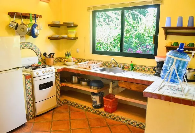 آپارتمان 1 خوابه با چشمانداز باغ, Casamar Suites