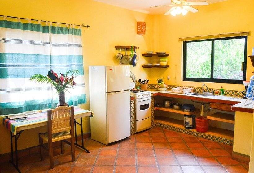 דירת חדר נוף לגינה, Casamar Suites