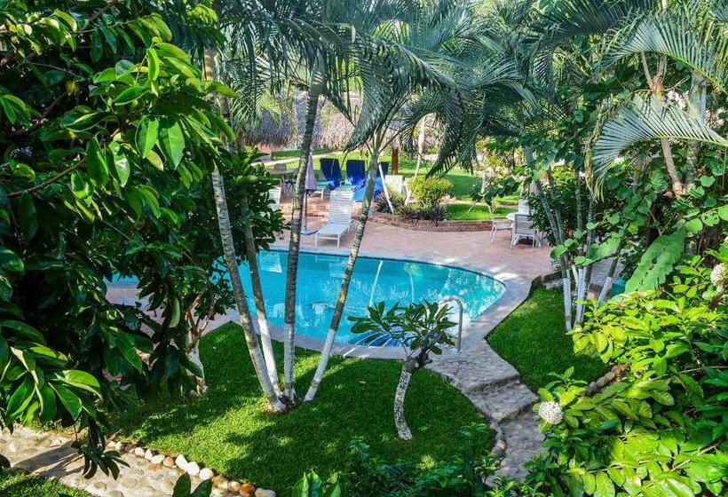 חדר סטודיו סטנדרד, Casamar Suites