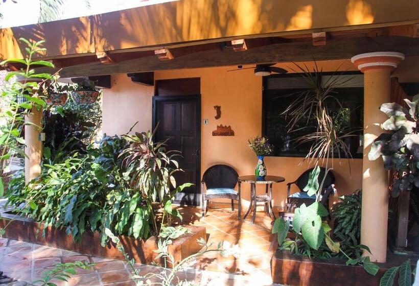 חדר סטודיו סטנדרד, Casamar Suites