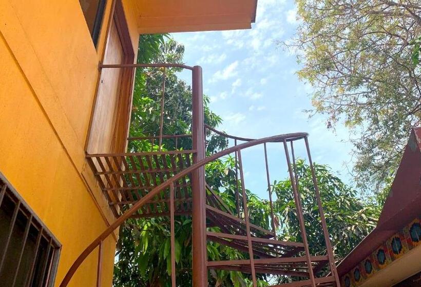 חדר סטודיו סטנדרד, Casamar Suites