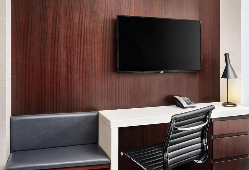 غرفة قياسية مطلة على المدينة, Courtyard By Marriott Long Island City/new York Manhattan View