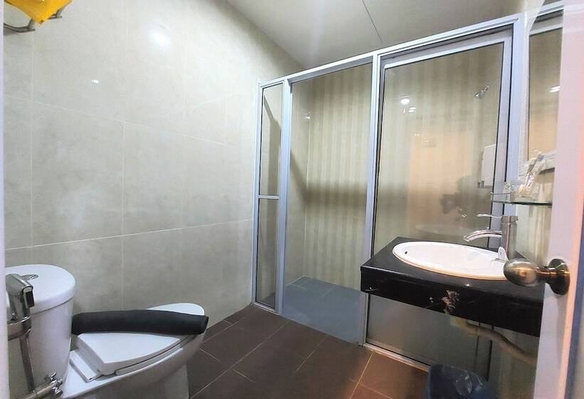 Номер Deluxe, D Merlion