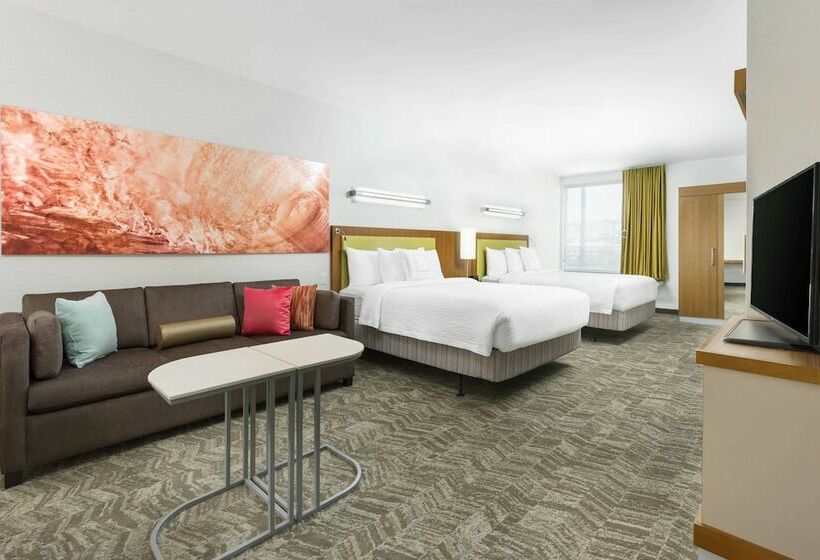 标准工作室, Springhill Suites By Marriott San Diego Mission Valley