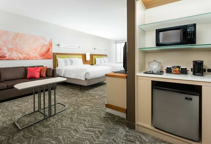 חדר סטודיו סטנדרד, Springhill Suites By Marriott San Diego Mission Valley