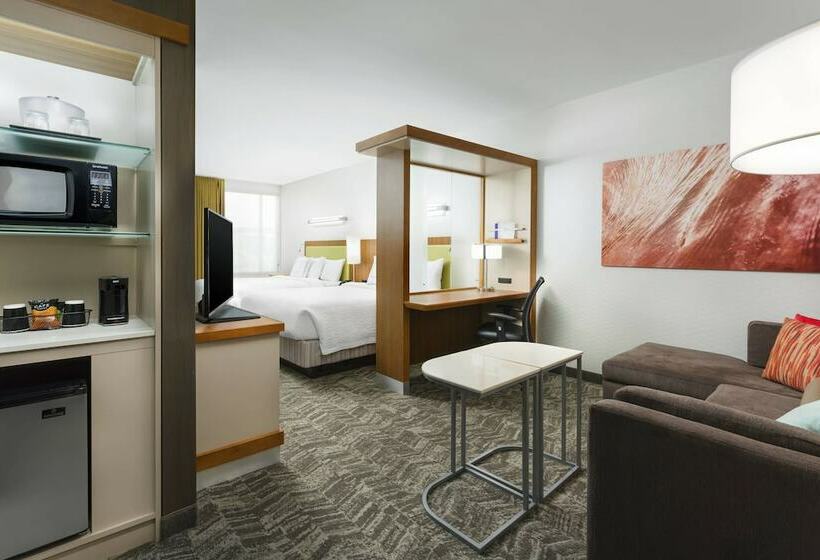 标准工作室, Springhill Suites By Marriott San Diego Mission Valley